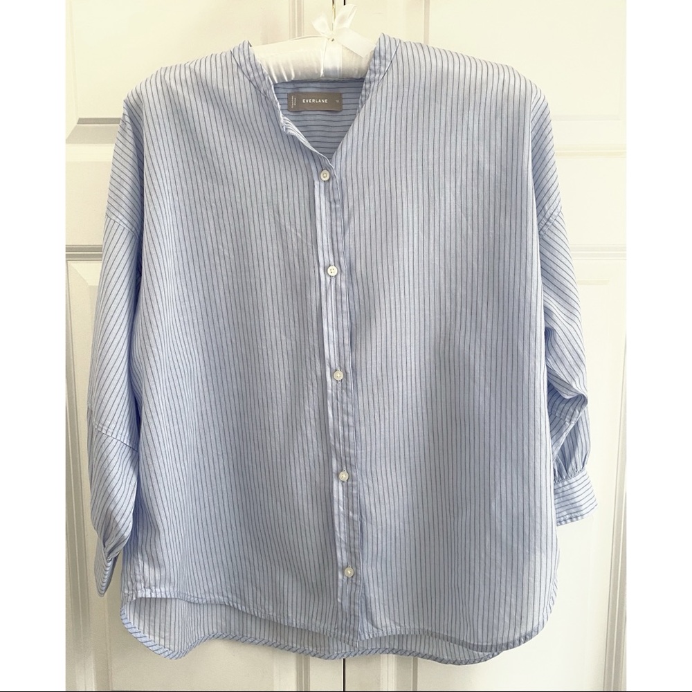 Everlane Blue Pinstripe Button Down Shirt